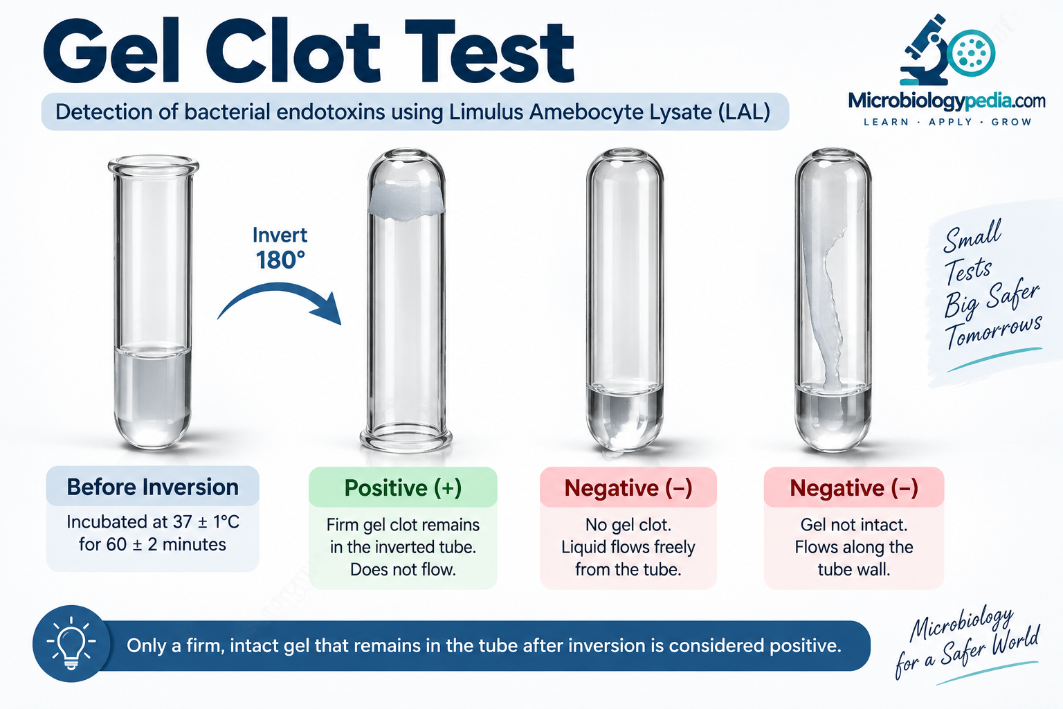 Gel-clot test illustration: intact retained gel is positive; flowing liquid or broken gel is negative